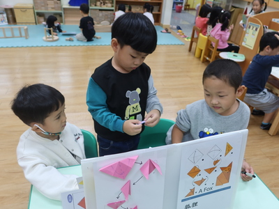 白兔班11.03-11.26圖片